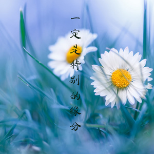 一定是特别的缘分