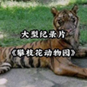 大型纪录片之《攀枝花动物园》
