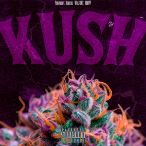 Kush