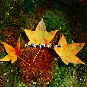 神秘的心灵讯息