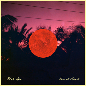 Walking Under The Trees