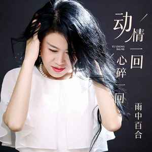 动情一回心碎一回 (伴奏)