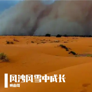 风沙中的成长之旅