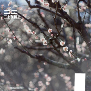 春雨里洗过的太阳