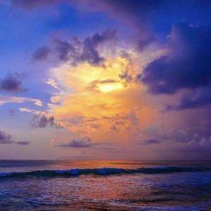 「FREE」“未曾拥有”