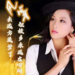 远方的你是否会想起我 伴奏