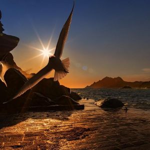 悲伤只是一种普遍的情绪