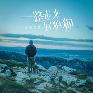 一路走来好狼狈