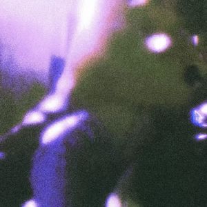 Professional(雷朋)