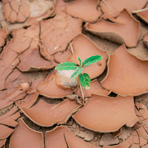 漫无目的迷失了2