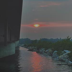 315 (feat. Will Austin)