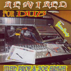 The Coolest Dub