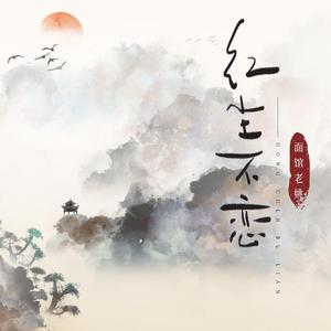 红尘不恋 (DJ阳少版)