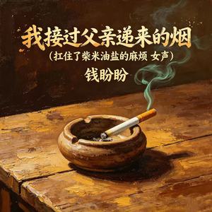 我接过父亲递来的烟（扛住了柴米油盐的麻烦 女声）