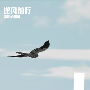 逆风前行