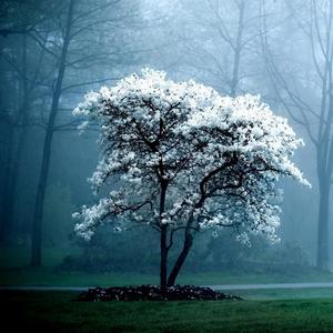 青春回忆多美好 (4)