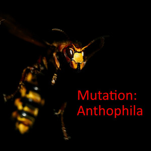 Mutation: Anthophila
