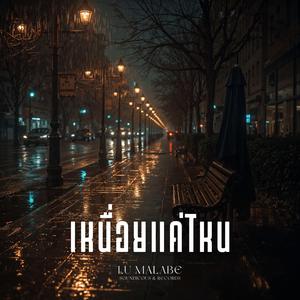 เหนื่อยแค่ไหน