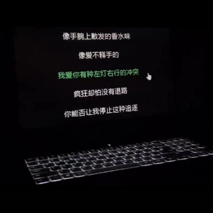 蜜蜂（cover王贰浪）