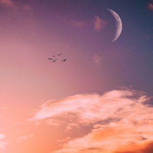 Ыoody ʍary（原曲：U.N.オーエンは彼女なのか？x 亡き王女の為のセプテット）