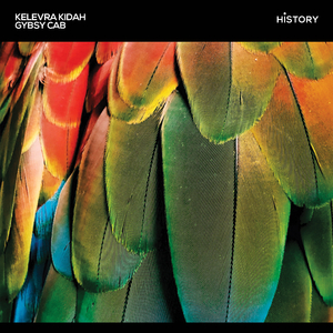 Gypsy Cab (Original Mix)