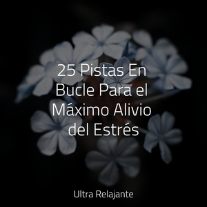 Los Aleros De La Noche