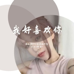 打工苦打工累 (DJ版)