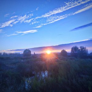 残酷打工人的扎古纲领