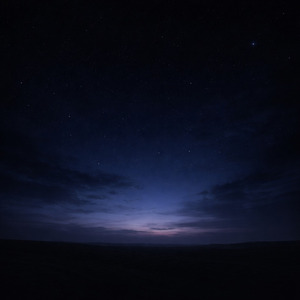 答えのない夜に