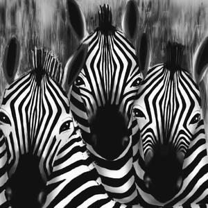 斯文败类（prod by coffee idol）