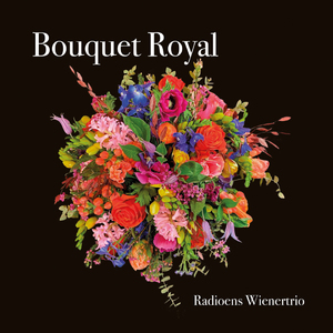 Københavns Jernbanedampgalop