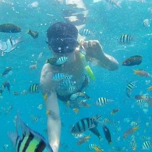 郑润泽-坠 导出（暴躁的鲸鱼 remix）