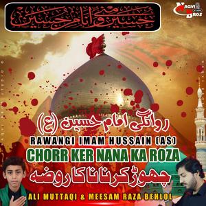 Chorr Kar Nana Ka Roza | 28 Rajab Rawangi Imam Hussain (as) | Urdu Noha (feat. Meesam Raza Behlol & Ali Muttaqi)