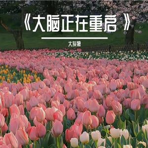 《大脑正在重启》