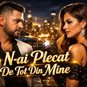 N-ai Plecat De Tot Din Mine