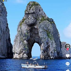 陈河
