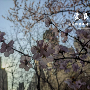 爱恨