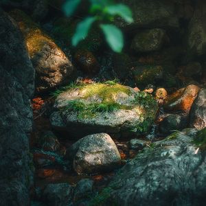 Thirty degrees north latitude