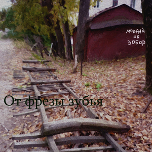 мордой об забор