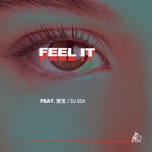 Feel It (feat.肥宝、DJ EDI)