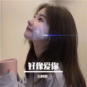 好想爱你DJ