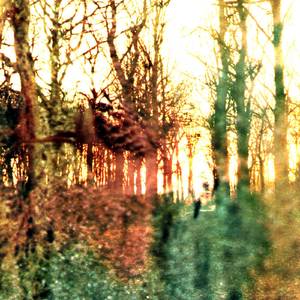 Where Will We Go When the Roads Have All Cracked?