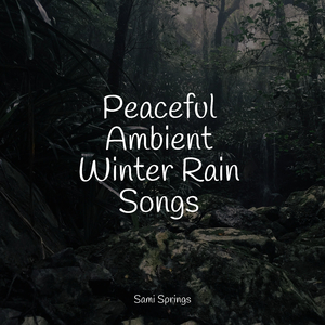 Water, Small, Creek, Close