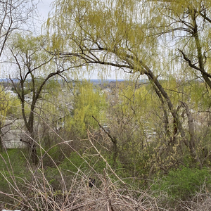 break me (feat. goji! & st jimmy)