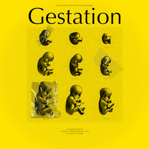 Gestation