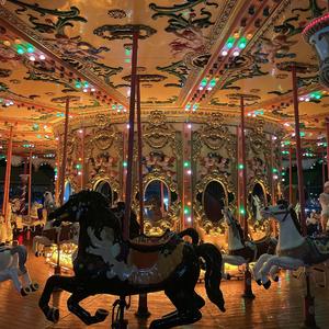 无处安放（翻自：白若溪）