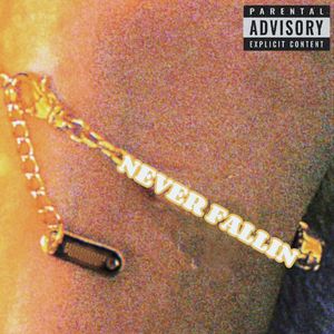 NEVER FALL(不会凋落)