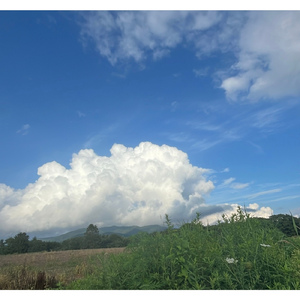 消えたい夜に限って