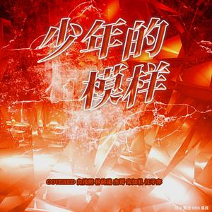 少年的模样——赞多0311srkl