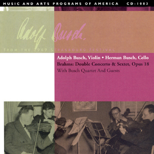 Double Concerto for Violin and Cello in A Minor, Op. 102:I. Allegro